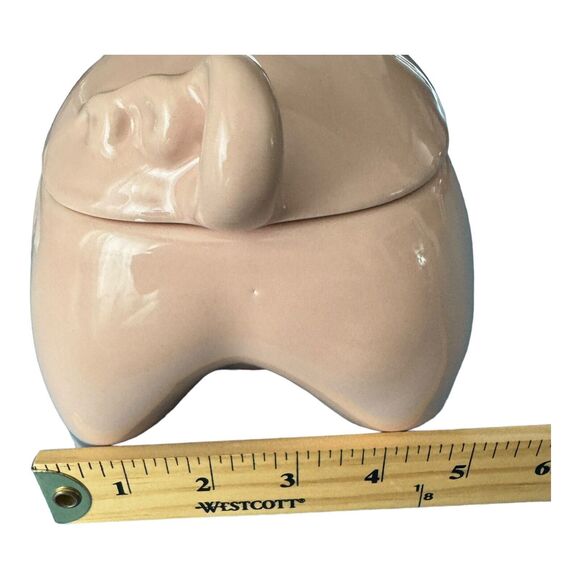 Rae Dunn Canister OINK Pink Pig Cookie Jar Lid Farmhouse Rustic HTF New 2022 - Picture 14 of 15